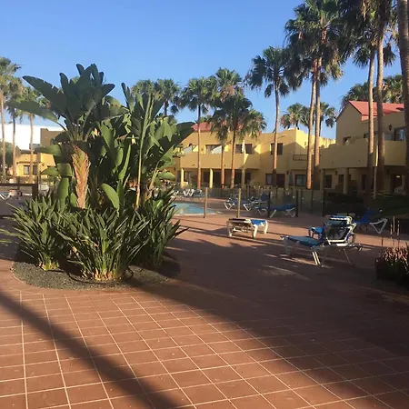 Apartamento Oasis Royal