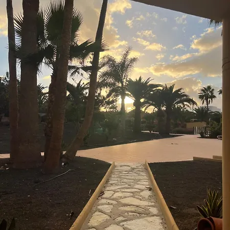 Apartment Oasis Royal Corralejo